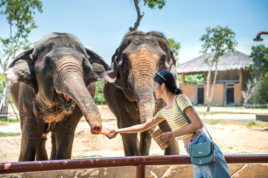 vườn thú River Safari