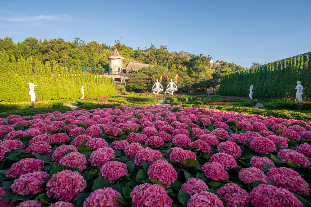 Vườn Hoa Le Jardin D’Amour Bà Nà hill